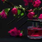 عطر ادکلن رز کات اَن ژرارد - Rose Cut Ann Gerard - بررسی، قیمت و خرید