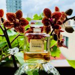 عطر ادکلن الور پرفیوم شانل - Allure Parfum Chanel - بررسی، قیمت و خرید