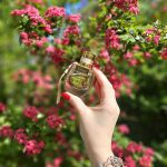 عطر ادکلن نوماد او د تویلت کلوئه - Nomade Eau de Toilette Chloé - بررسی، قیمت و خرید