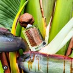 عطر ادکلن بریندنس بروکن آناتومی پرفیومز - Brain Dance Broken Anatomy Perfumes - بررسی، قیمت و خرید