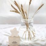 عطر ادکلن بورن دریمِر چارلی داملیو - Born Dreamer Charli D'Amelio - بررسی، قیمت و خرید