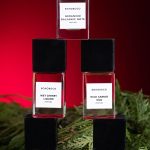 عطر ادکلن وایلد کَرِت عود بوهوبوکو - Wild Carrot Oud Bohoboco - بررسی، قیمت و خرید
