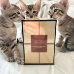 عطر ادکلن مایستری توباکو کارولینا هررا - Mystery Tobacco Carolina Herrera - بررسی، قیمت و خرید