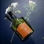 عطر ادکلن تابروم کرید - Tabarome Creed - بررسی، قیمت و خرید