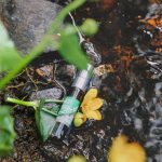 عطر ادکلن آروما کارلیا گرین آروما کرلیا - Aroma Karelia Green (Аромат Карелии - Зеленый) Aroma Karelia - بررسی، قیمت و خرید