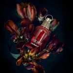 عطر ادکلن آمور آمور کاچارل - Amor Amor Cacharel - بررسی، قیمت و خرید