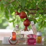 عطر ادکلن دیور ادیکت او فرش ۲۰۱۲ دیور - Dior Addict Eau Fraiche 2012 Dior - بررسی، قیمت و خرید