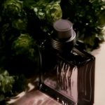 عطر ادکلن یک هزار و هشتصد و هشتاد و یک اسنشیال سروتی - 1881 Essentiel Cerruti - بررسی، قیمت و خرید