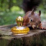 عطر ادکلن کشمیر شوپارد - Casmir Chopard - بررسی، قیمت و خرید
