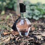 عطر ادکلن شغف الورد الوطنیه - Shagaf Al Ward Al Wataniah - بررسی، قیمت و خرید