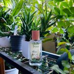 عطر ادکلن جاردینی توسکانی - پراتو دی باچی بوتگا ورده - Giardini Toscani - Prato dei Baci Bottega Verde - بررسی، قیمت و خرید