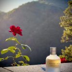 عطر ادکلن بُتِگا وِنِتا اِسِنس آروما‌تیک بوتگا ونتا - Bottega Veneta Essence Aromatique Bottega Veneta - بررسی، قیمت و خرید
