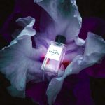 عطر ادکلن بوی او دو پرفیوم شانل - Boy Eau de Parfum Chanel - بررسی، قیمت و خرید
