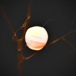 عطر ادکلن اینکندسنس اون - Incandessence Avon - بررسی، قیمت و خرید