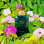 عطر ادکلن سنتال اودییار شوپارد - Santal Odeyar Chopard - بررسی، قیمت و خرید