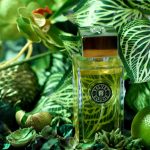 عطر ادکلن ولوت روژ آرته پروفومی - Velvet Rouge Arte Profumi - بررسی، قیمت و خرید
