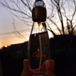 عطر ادکلن سیلبغ اِیوِن - Célèbre Avon - بررسی، قیمت و خرید