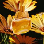 عطر ادکلن شای عود انفاس دكون - Shay Oud Anfasic Dokhoon - بررسی، قیمت و خرید
