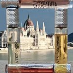 عطر ادکلن مینت اند تونیک اَتکینسِنز - Mint & Tonic Atkinsons - بررسی، قیمت و خرید