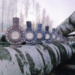 عطر ادکلن بلک سوان بروکارد - Black Swan (Черный лебедь) Brocard - بررسی، قیمت و خرید