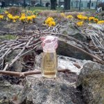 عطر ادکلن ایرفرانس شاریر پرفیومز - Air de France Charrier Parfums - بررسی، قیمت و خرید