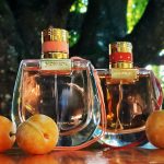 عطر ادکلن نومد ابسولو دو پارفوم کلوئه - Nomade Absolu de Parfum Chloé - بررسی، قیمت و خرید