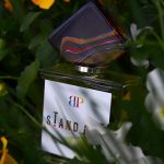 عطر ادکلن اِستند آوت برو نو پروچی پارفومز - Stand Out Bruno Perrucci Parfums - بررسی، قیمت و خرید