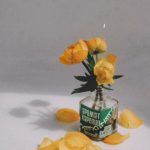 عطر ادکلن آروما کارلیا گرین آروما کرلیا - Aroma Karelia Green (Аромат Карелии - Зеленый) Aroma Karelia - بررسی، قیمت و خرید