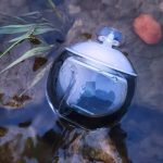 عطر ادکلن نوا پرل کچرل - Noa Perle Cacharel - بررسی، قیمت و خرید