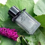 عطر ادکلن مستر باربری ادو پرفیوم بربری - Mr. Burberry Eau de Parfum Burberry - بررسی، قیمت و خرید