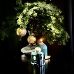 عطر ادکلن اپیک فیفتی سیکس وومن آمواژ - Epic 56 Woman Amouage - بررسی، قیمت و خرید