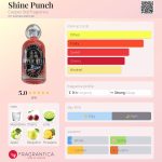 عطر ادکلن شاین پانچ کوپر استیل فراگرنس - Shine Punch Copper Still Fragrance - بررسی، قیمت و خرید