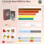 عطر ادکلن اد هاردی بورن وایلد فور من کریستین اودیگر - Ed Hardy Born Wild For Men Christian Audigier - بررسی، قیمت و خرید