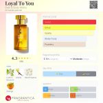 عطر ادکلن لویال تو یو بث اند بادی ورکز - Loyal To You Bath & Body Works - بررسی، قیمت و خرید