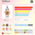 عطر ادکلن وایلدبلوم بنانا ریپابلیک - Wildbloom Banana Republic - بررسی، قیمت و خرید