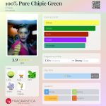عطر ادکلن صد در صد پیور چیپی گرین چیپی - 100% Pure Chipie Green Chipie - بررسی، قیمت و خرید