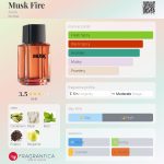 عطر ادکلن ماسک فایر آوون - Musk Fire Avon - بررسی، قیمت و خرید