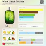 عطر ادکلن وایت سیترس فور من بث اند بادی ورکس - White Citrus for Men Bath & Body Works - بررسی، قیمت و خرید