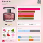 عطر ادکلن رز کات اَن ژرارد - Rose Cut Ann Gerard - بررسی، قیمت و خرید