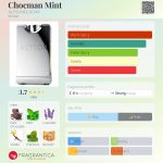 عطر ادکلن چاک من مینت الیسونولدینی - Chocman Mint ALYSONOLDOINI - بررسی، قیمت و خرید