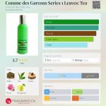 عطر ادکلن کام دس گارسن سریز ۱ لیوز: تی کومه د گارسون - Comme des Garcons Series 1 Leaves: Tea Comme des Garcons - بررسی، قیمت و خرید