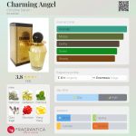 عطر ادکلن چارمینگ انجل کریستین داروین - Charming Angel Christine Darvin - بررسی، قیمت و خرید