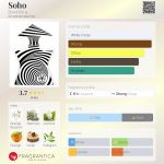 عطر ادکلن سوهو باند نامبر ناین - Soho Bond No 9 - بررسی، قیمت و خرید