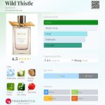 عطر ادکلن وایلد تیسل بربری - Wild Thistle Burberry - بررسی، قیمت و خرید