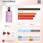 عطر ادکلن ولوت ادیشن برشکا - Velvet Edition Bershka - بررسی، قیمت و خرید