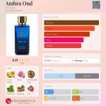 عطر ادکلن آمبره عود الحمرا - Ambra Oud Al Ambra - بررسی، قیمت و خرید
