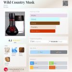 عطر ادکلن وایلد کانتری ماسک آوون - Wild Country Musk Avon - بررسی، قیمت و خرید