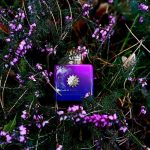 عطر ادکلن مایثز وومن آمواژ - Myths Woman Amouage - بررسی، قیمت و خرید