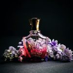 عطر ادکلن رویال پرنسز عود کرید - Royal Princess Oud Creed - بررسی، قیمت و خرید