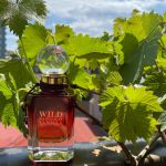عطر ادکلن وایلد ماداگاسکار وانیلا باث اند بادی ورکز - Wild Madagascar Vanilla Bath & Body Works - بررسی، قیمت و خرید